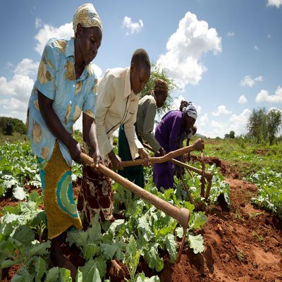 Eco-Farming