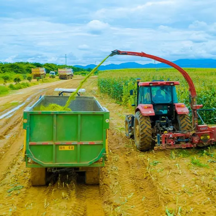 Agricultural Tools and Machinery
