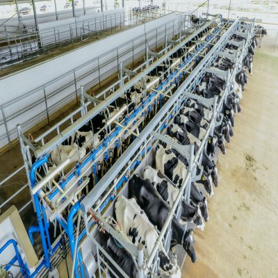 ASAS Farms