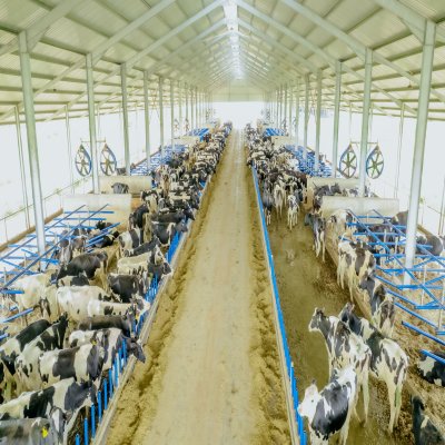ASAS Farms