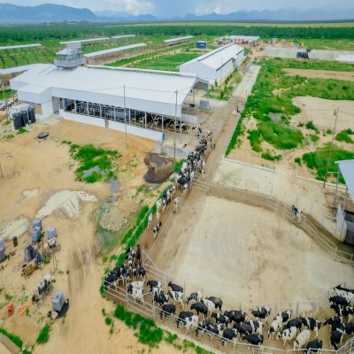 ASAS Farms