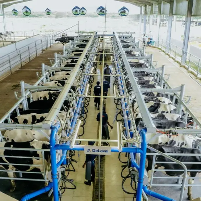 Veterinary Medicines