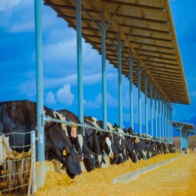 ASAS Farms